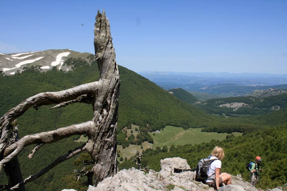 Escursioni Trekking Pollino