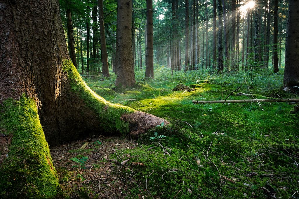 Escursioni Trekking Serre Calabresi