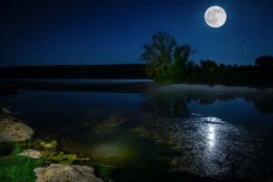 Escursione al chiaro di Luna sul Lago - Sila Grande