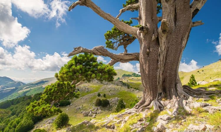 Trekking Cozzo Ferriero